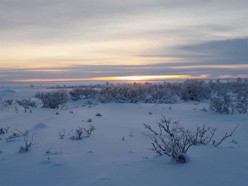 Snømålinger i Varanger