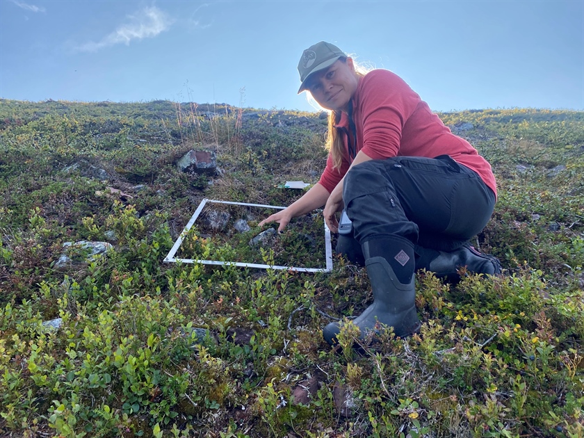 Høstfelt på Varangerhavløya – Et fotoreisebrev