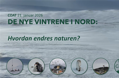 Vi er viktig for sikkerheten i nord – en hilsen fra forsknings- og høyere utdanningsminister Sigrun Aasland