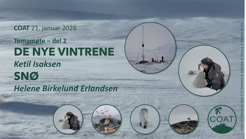 Arktis og spesielt Svalbard regionen varmes opp raskest i verden og modellering av regn på snø og isdannelse