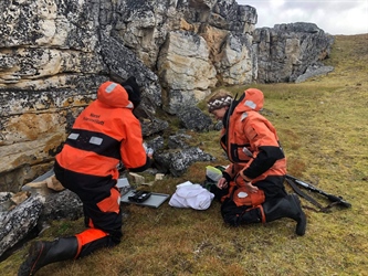 COAT har etablert overvåkningssystem for fremmedarten østmarkmus på Svalbard