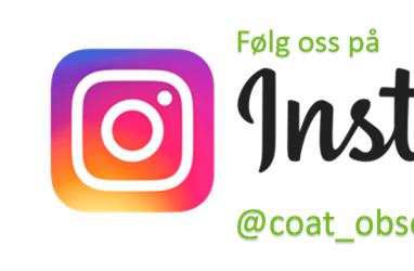 COAT er endelig på Instagram!